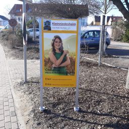 Infotafeln unserer Weinhoheiten aus Richtung Bobenheim