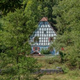 Foto: Dirk Weber, fokuspfalz.de