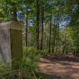 Foto: Dirk Weber, fokuspfalz.de