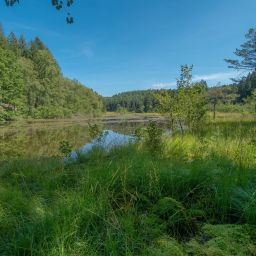 Foto: Dirk Weber, fokuspfalz.de