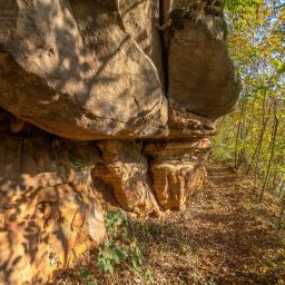 Foto: Dirk Weber, fokuspfalz.de