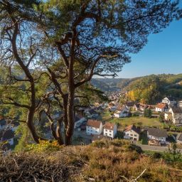 Foto: Dirk Weber, fokuspfalz.de